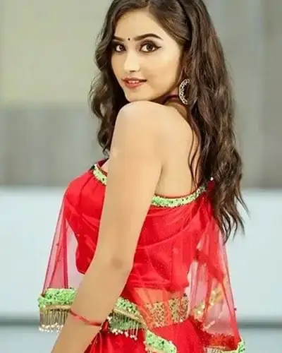 Call Girls Service Loharu